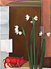 Catherine Walker